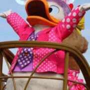 ヒメ日記 2026/02/19 00:12 投稿 南/Minami ジュリエット