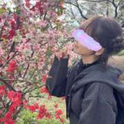 ヒメ日記 2026/02/27 16:33 投稿 南/Minami ジュリエット