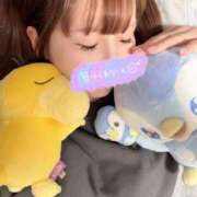 ヒメ日記 2026/03/03 09:03 投稿 南/Minami ジュリエット