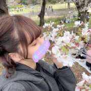 ヒメ日記 2026/03/07 07:33 投稿 南/Minami ジュリエット