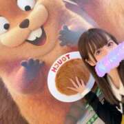 ヒメ日記 2026/03/09 13:42 投稿 南/Minami ジュリエット