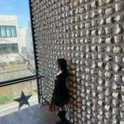 ヒメ日記 2026/03/12 08:03 投稿 南/Minami ジュリエット