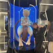 ヒメ日記 2026/03/14 22:18 投稿 南/Minami ジュリエット