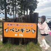 ヒメ日記 2026/03/24 13:57 投稿 南/Minami ジュリエット