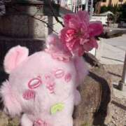 ヒメ日記 2026/03/25 22:18 投稿 南/Minami ジュリエット