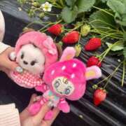 ヒメ日記 2026/03/26 09:21 投稿 南/Minami ジュリエット