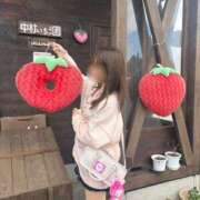 ヒメ日記 2026/03/28 08:42 投稿 南/Minami ジュリエット