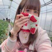 ヒメ日記 2026/03/28 13:33 投稿 南/Minami ジュリエット