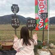 ヒメ日記 2026/04/02 20:03 投稿 南/Minami ジュリエット