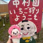 ヒメ日記 2026/04/03 08:18 投稿 南/Minami ジュリエット