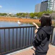 ヒメ日記 2026/04/03 16:12 投稿 南/Minami ジュリエット