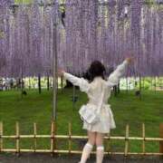 ヒメ日記 2026/04/28 14:03 投稿 南/Minami ジュリエット