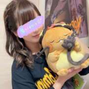 ヒメ日記 2026/04/29 08:30 投稿 南/Minami ジュリエット