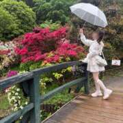 ヒメ日記 2026/05/01 09:33 投稿 南/Minami ジュリエット