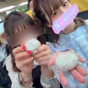 ヒメ日記 2026/05/14 07:18 投稿 南/Minami ジュリエット