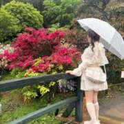ヒメ日記 2026/06/02 13:54 投稿 南/Minami ジュリエット