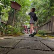 ヒメ日記 2026/07/03 08:18 投稿 南/Minami ジュリエット