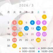ヒメ日記 2026/02/25 20:31 投稿 早乙女　りん Amateras～アマテラス～