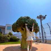 ヒメ日記 2026/07/21 12:12 投稿 早乙女　りん Amateras～アマテラス～