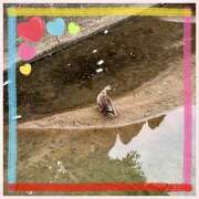 ヒメ日記 2025/05/30 16:55 投稿 星野すみれ Matriarch(マトリアルカ)