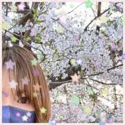 ヒメ日記 2025/06/04 13:51 投稿 星野すみれ Matriarch(マトリアルカ)