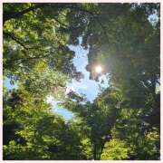 ヒメ日記 2025/06/20 16:55 投稿 星野すみれ Matriarch(マトリアルカ)