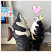 星野すみれ シャチソフト Matriarch(マトリアルカ)