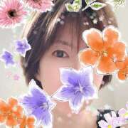 星野すみれ こんにちは Matriarch(マトリアルカ)