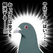 ヒメ日記 2024/12/19 08:19 投稿 ちひろ アラカルト