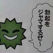 ヒメ日記 2025/03/02 10:30 投稿 ちひろ アラカルト