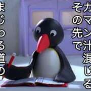 ヒメ日記 2025/03/09 21:02 投稿 ちひろ アラカルト