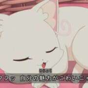 ヒメ日記 2025/03/17 01:17 投稿 ちひろ アラカルト