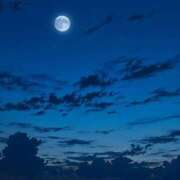 ヒメ日記 2025/03/20 12:56 投稿 ちひろ アラカルト