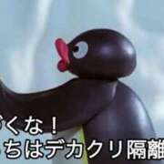 ヒメ日記 2025/05/03 11:28 投稿 ちひろ アラカルト