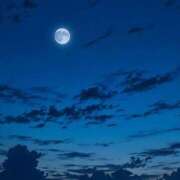 ヒメ日記 2025/05/04 11:21 投稿 ちひろ アラカルト