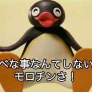 ヒメ日記 2025/05/14 14:15 投稿 ちひろ アラカルト