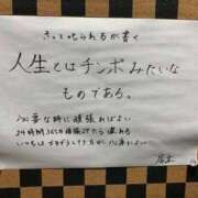 ヒメ日記 2025/05/19 00:01 投稿 ちひろ アラカルト
