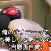 ヒメ日記 2025/05/21 18:19 投稿 ちひろ アラカルト