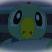 ヒメ日記 2025/06/08 10:25 投稿 ちひろ アラカルト