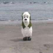 ヒメ日記 2025/06/27 11:36 投稿 ちひろ アラカルト