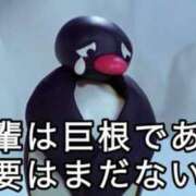 ヒメ日記 2025/07/27 08:26 投稿 ちひろ アラカルト