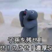 ヒメ日記 2025/08/26 09:23 投稿 ちひろ アラカルト