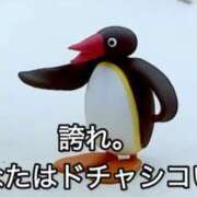 ヒメ日記 2025/09/01 06:54 投稿 ちひろ アラカルト