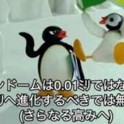 ヒメ日記 2025/09/08 19:46 投稿 ちひろ アラカルト
