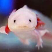 ヒメ日記 2025/10/23 19:32 投稿 ちひろ アラカルト