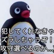 ヒメ日記 2025/10/28 13:33 投稿 ちひろ アラカルト