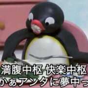 ヒメ日記 2026/05/14 18:14 投稿 ちひろ アラカルト