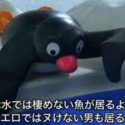 ヒメ日記 2026/09/16 08:18 投稿 ちひろ アラカルト