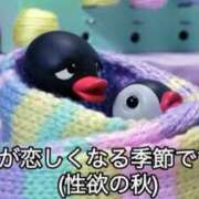 ちひろ 🛁 アラカルト