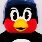 ヒメ日記 2025/04/02 12:26 投稿 奥野渚 Matriarch(マトリアルカ)